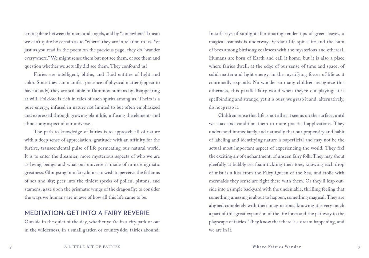A Little Bit of Fairies by Elaine Clayton