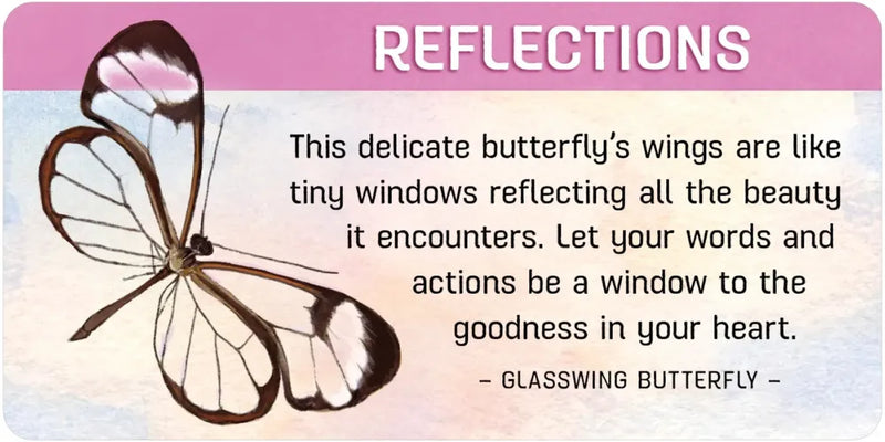 Backyard Blessings Inspiration Cards by Lynn Araujo & Wendy Cipolla Boccuzzi