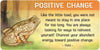 Backyard Blessings Inspiration Cards by Lynn Araujo & Wendy Cipolla Boccuzzi