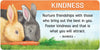 Backyard Blessings Inspiration Cards by Lynn Araujo & Wendy Cipolla Boccuzzi