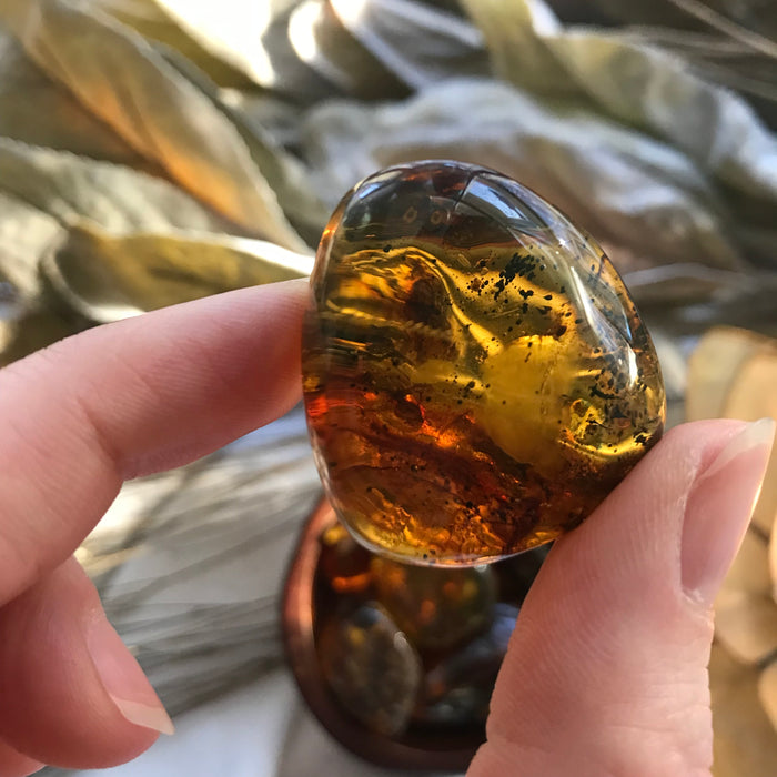 Tumbled Baltic Amber for Joy & Healing