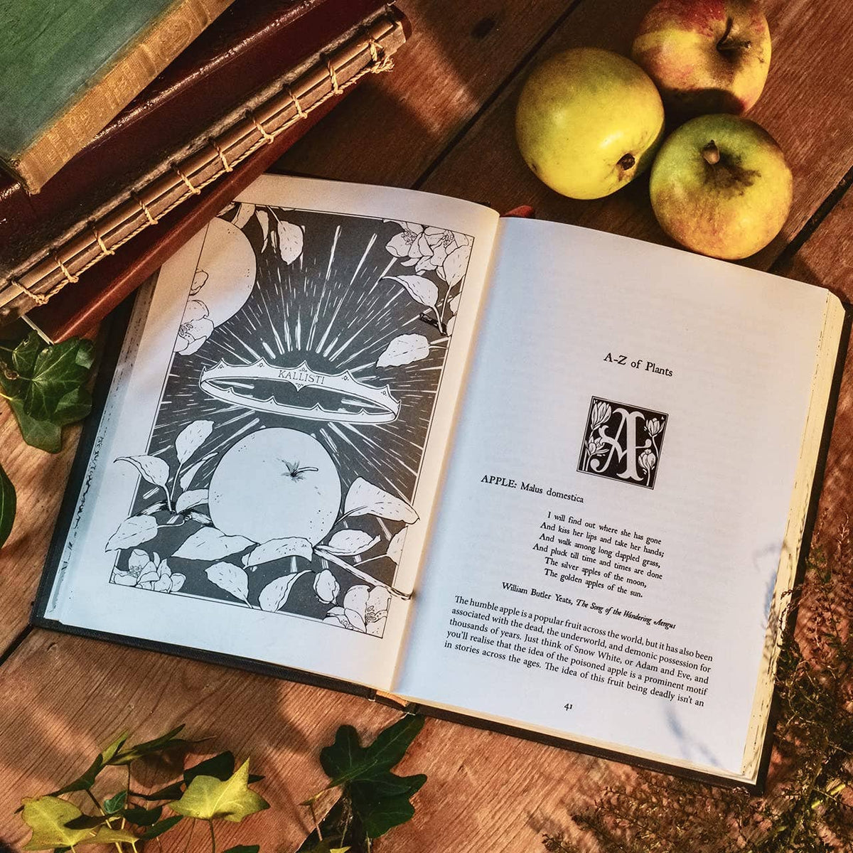 Botanical Curses and Poisons by Fen Inkwright