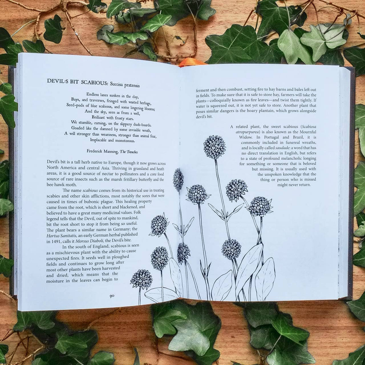 Botanical Curses and Poisons by Fen Inkwright