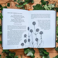 Botanical Curses and Poisons by Fen Inkwright