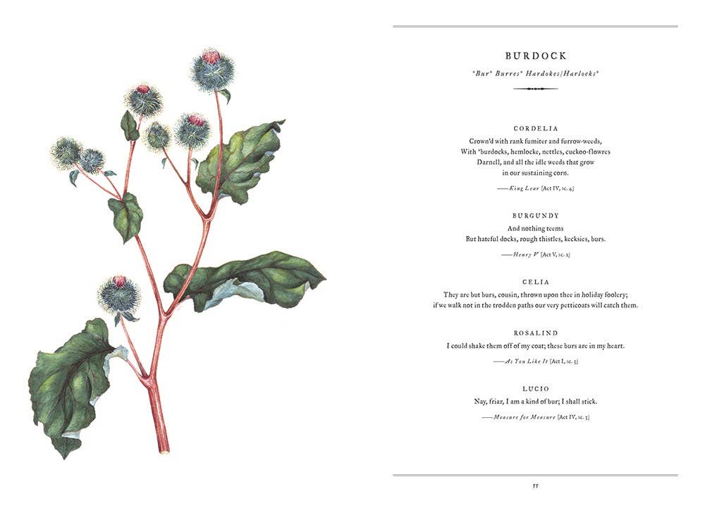 Botanical Shakespeare by Gerit Quealy