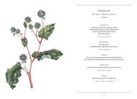 Botanical Shakespeare by Gerit Quealy