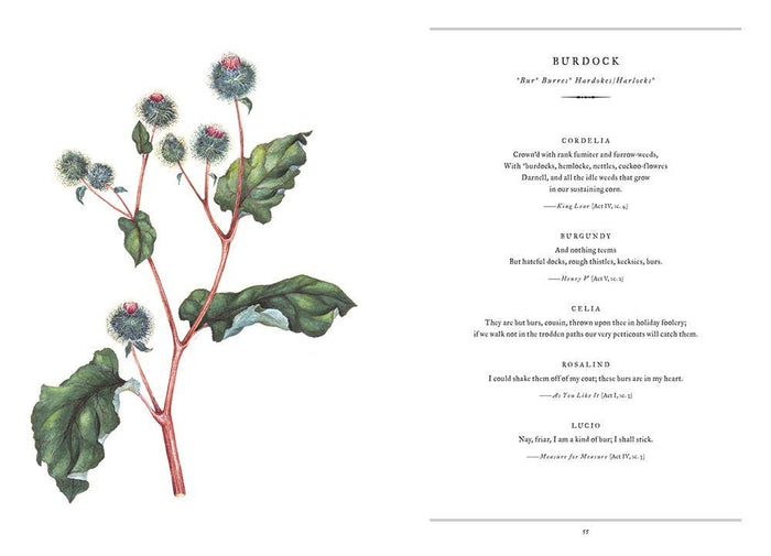 Botanical Shakespeare by Gerit Quealy