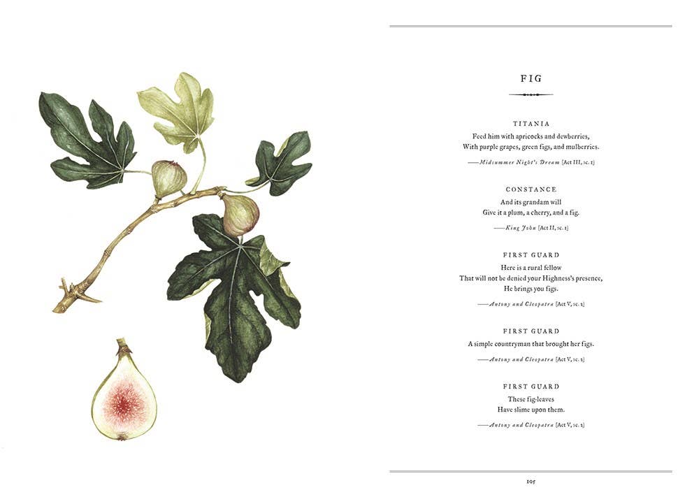 Botanical Shakespeare by Gerit Quealy