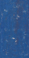 Cary-Yale Visconti 15th Century Tarocchi Deck by Bonifacio Bembo and Thierry Depaulis