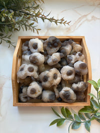 Chalcedony Sheep Stones for Self-Trust & Intuition