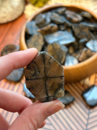 Polished Cross Stone Slices for Protection & Balance