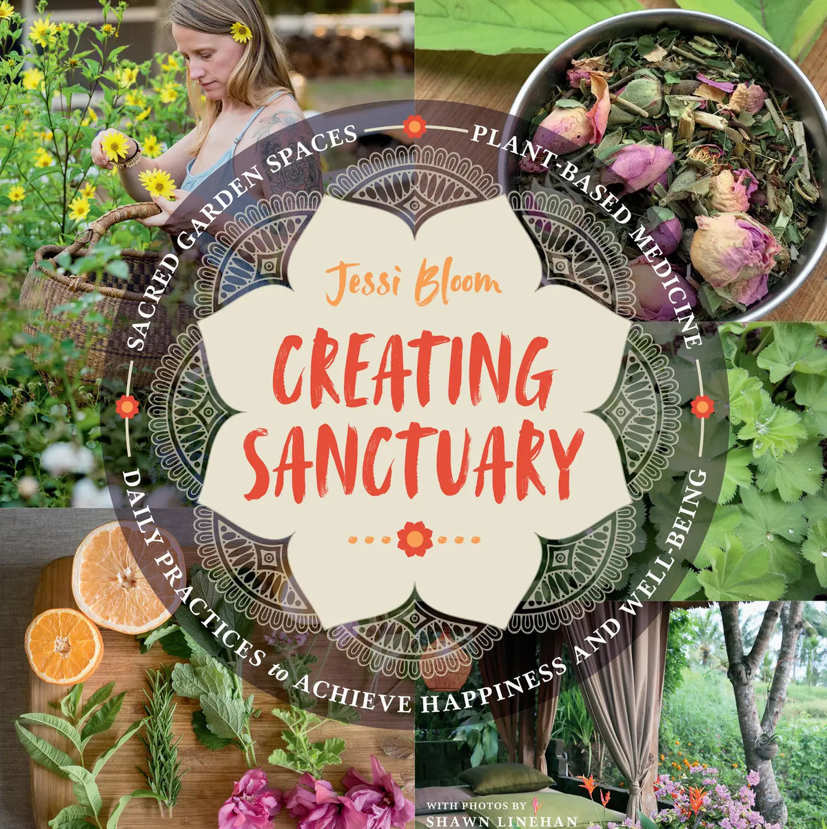 Creating Sanctuary by Jessi Bloom
