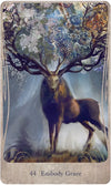 Divine Nature Oracle Deck & Book Set by Angi Sullins & Greg Spalenka