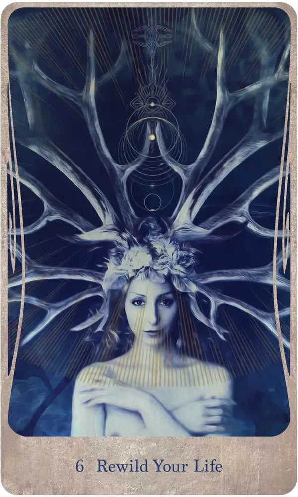 Divine Nature Oracle Deck & Book Set by Angi Sullins & Greg Spalenka