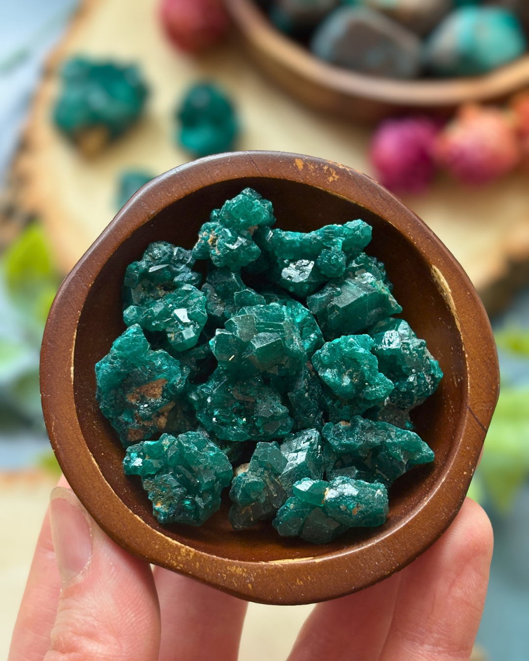 A-Grade Dioptase Clusters for Emotional Release & Renewal