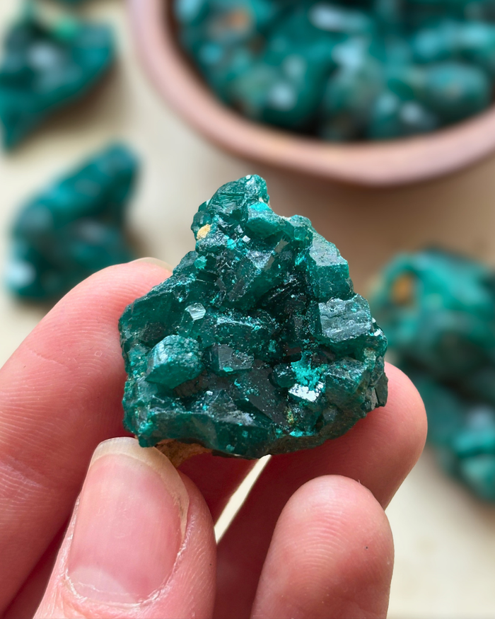 A-Grade Dioptase Clusters for Emotional Release & Renewal