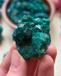 A-Grade Dioptase Clusters for Emotional Release & Renewal