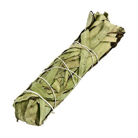 Eucalyptus Herbal Bundle for Rejuvenation