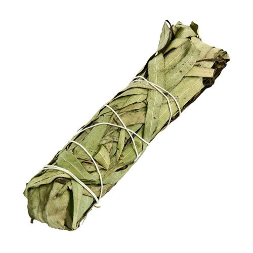 Eucalyptus Herbal Bundle for Rejuvenation