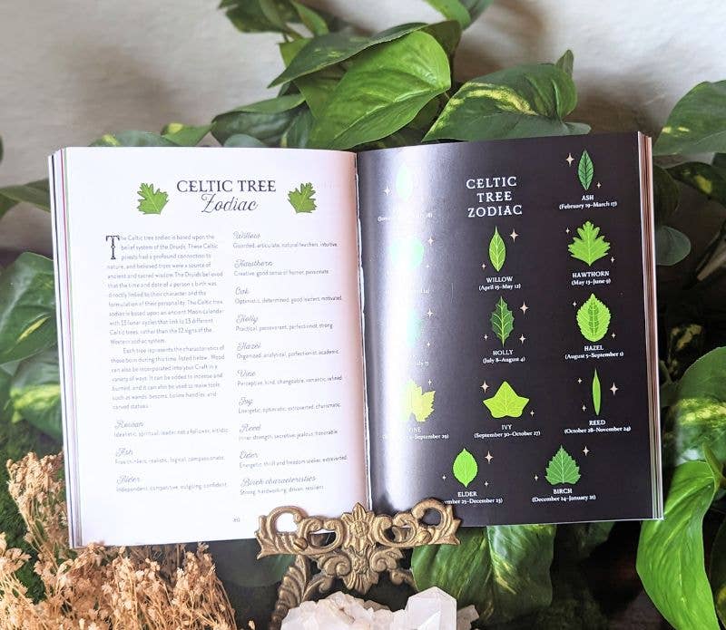 Earth Magick Mini Book by Lindsay Squire