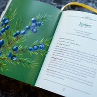 Enchanted Plants by Varla A. Ventura