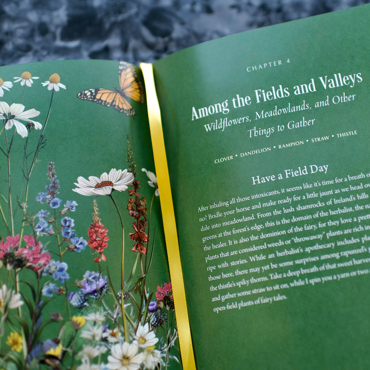 Enchanted Plants by Varla A. Ventura