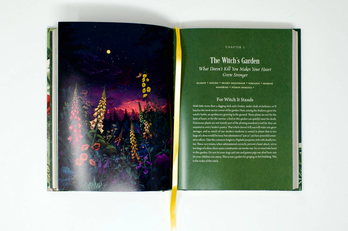 Enchanted Plants by Varla A. Ventura