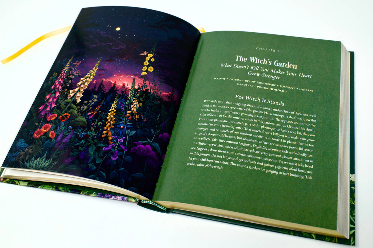 Enchanted Plants by Varla A. Ventura