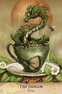 Field Guide to Garden Dragons by Stanley Morrison & Arwen Lynch