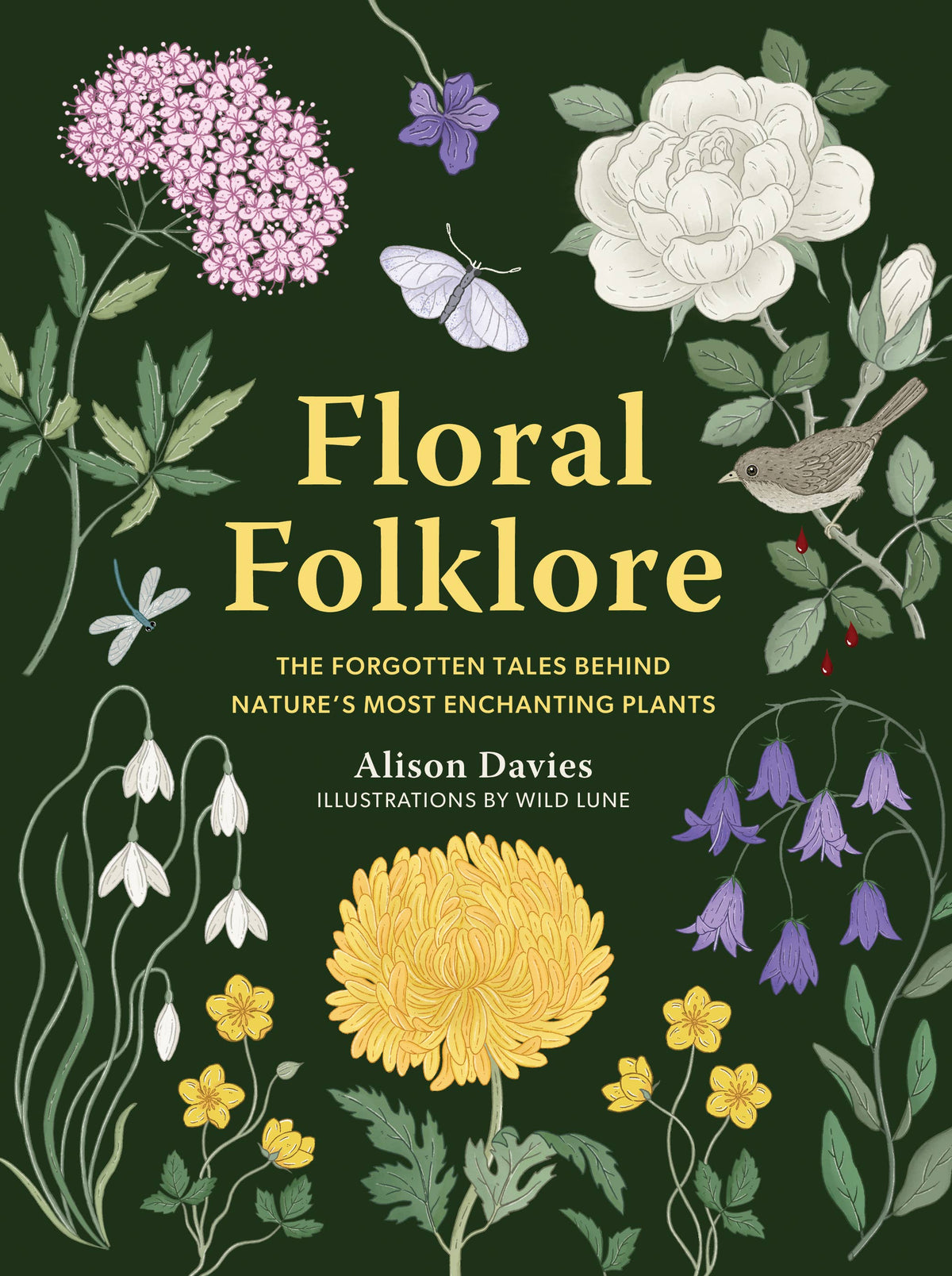 Floral Folklore by Alison Davies