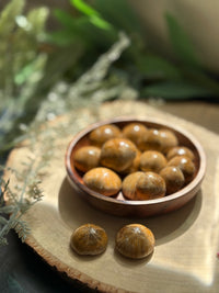 Polished Fossil Echinoids for Protection & Fairy Magic