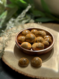 Polished Fossil Echinoids for Protection & Fairy Magic