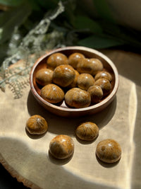 Polished Fossil Echinoids for Protection & Fairy Magic
