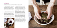 Healing Herbal Teas by Sarah Farr