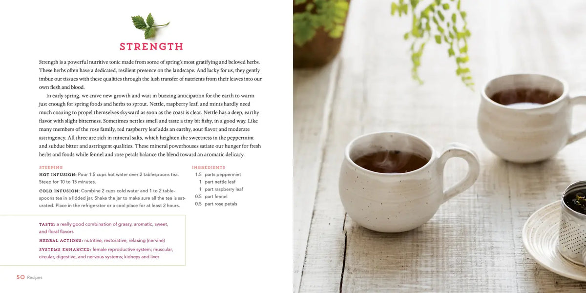 Healing Herbal Teas by Sarah Farr