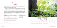 Healing Herbal Teas by Sarah Farr