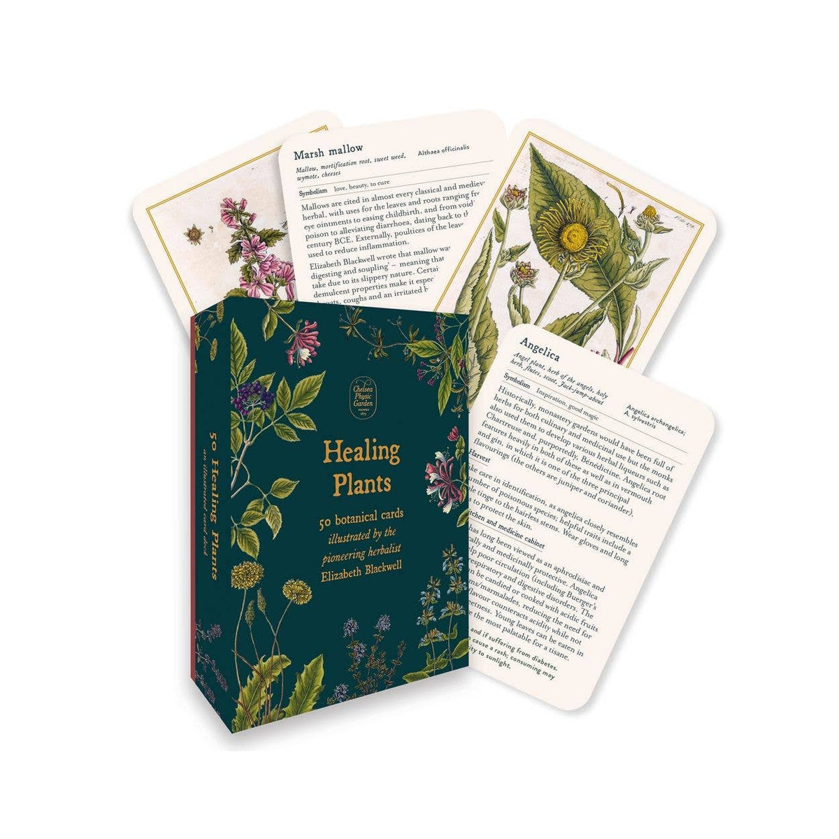 Healing Plants Botanical Card Deck illustrated by Elizabeth Blackwell