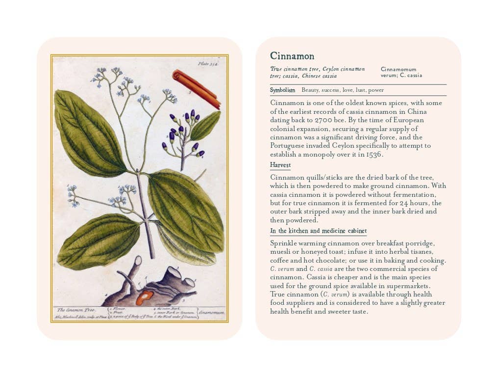 Healing Plants Botanical Card Deck illustrated by Elizabeth Blackwell