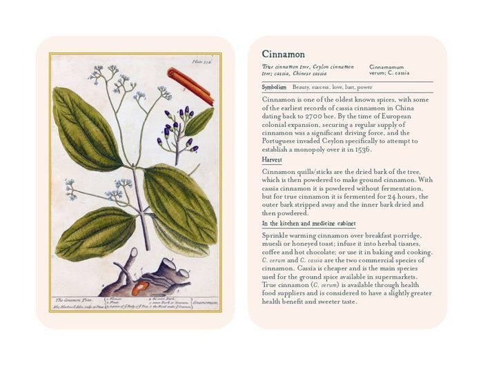 Healing Plants Botanical Card Deck illustrated by Elizabeth Blackwell