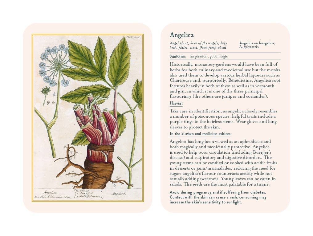 Healing Plants Botanical Card Deck illustrated by Elizabeth Blackwell