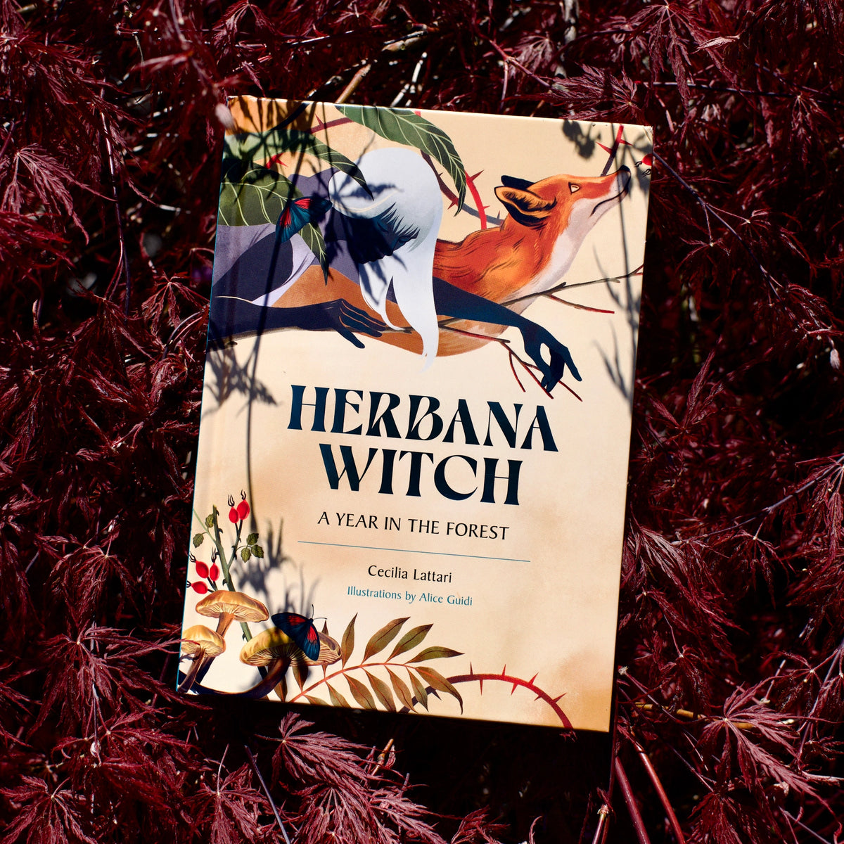 Herbana Witch by Cecilia Lattari