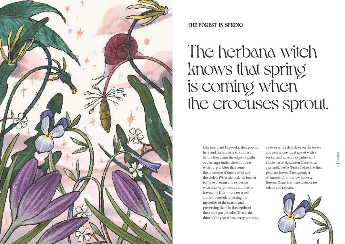 Herbana Witch by Cecilia Lattari