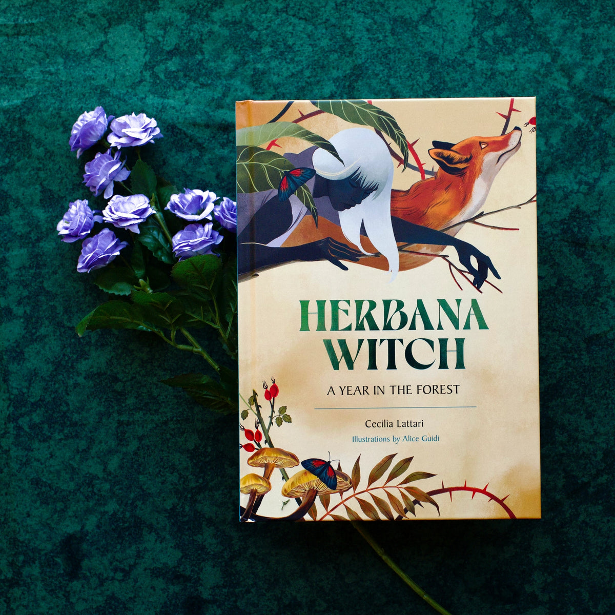 Herbana Witch by Cecilia Lattari