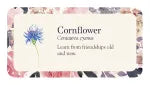 Flower Petals: Inspiration Cards by Cheralyn Darcey