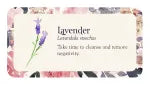 Flower Petals: Inspiration Cards by Cheralyn Darcey