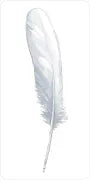 Divine Feather Messenger by Alison DeNicola and David Scheirer