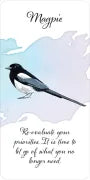 Divine Feather Messenger by Alison DeNicola and David Scheirer