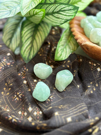 Tumbled Prehnite for Earth Connection & Spiritual Fulfillment