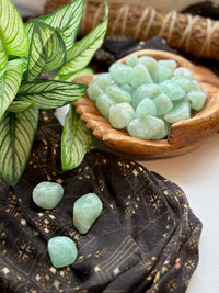Tumbled Prehnite for Earth Connection & Spiritual Fulfillment