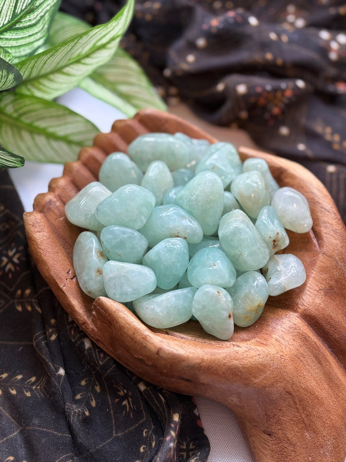 Tumbled Prehnite for Earth Connection & Spiritual Fulfillment